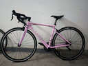 坎普（CAMP）RADON 公路車(chē)鋁合金順泰18變速單車(chē)圈剎運(yùn)動(dòng)賽車(chē)碳纖維前叉自行車(chē) 粉色 18速 480碼 曬單實(shí)拍圖