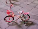 優(yōu)貝（RoyalBaby）兒童自行車兒童單車小孩女童單車3-6-9歲腳踏車珍妮公主 經(jīng)典款-粉白 16寸 曬單實拍圖