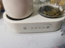米栗熊全玻璃養(yǎng)生壺煮茶壺雙壺套裝燒水壺一體多功能迷你燉煮壺小型自動恒溫壺養(yǎng)生杯加熱陶瓷保溫杯教師 0.8L +0.4L雙杯養(yǎng)生壺【禮盒裝】 辦公室玻璃燉煮杯送禮物男女生老師閨蜜實用禮品伴手禮 曬單實拍圖
