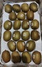 佳沛（zespri）新西蘭 新果季海運 巨無(wú)霸紅奇異果 15粒單果146-175g 獼猴桃 曬單實(shí)拍圖