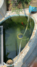 森森（SUNSUN）魚(yú)池過(guò)濾器魚(yú)缸過(guò)濾桶水池循環(huán)設備池塘過(guò)濾系統 CPF適合2方水單桶（不帶其他配件） 曬單實(shí)拍圖