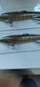熊火路亞假餌仿生泥鰍遠投淡水翹嘴鱸魚(yú)桂魚(yú)鱖魚(yú)專(zhuān)用餌 多節泥鰍20克兩只裝專(zhuān)殺翹嘴鱸魚(yú) 曬單實(shí)拍圖