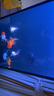 漢霸2025新款魚缸客廳家用底濾小型超白玻璃造景水族箱智能落地 冰川白【底濾*到手就養(yǎng)魚】 40x40x125cm 曬單實拍圖