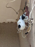 小米室外攝像機(jī)CW500 家用監(jiān)控 雙頻Wi-Fi6 超清全彩夜視 AI人形/車輛偵測(cè) 防塵防水?dāng)z像頭 曬單實(shí)拍圖
