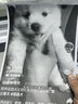 惠普（HP）117w打印機A4黑白激光復印掃描一體機手機無線連接學生試卷作業(yè)家庭辦公商用家用 同116w/1136w 117w【可無線連接】【加入店鋪會員價更優(yōu)】 曬單實拍圖