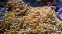 鮮馳 國產(chǎn)青島大蝦 大號(hào)白蝦 氣凍3040規(guī)格 去冰凈重3斤盒裝-源頭直發(fā) 曬單實(shí)拍圖