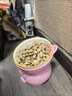 御寵坊貓碗陶瓷貓食盆高腳貓咪飯碗水碗防打翻斜口貓碗慢食盆狗碗狗食盆 貓型蹲蹲碗【小雞+豬豬】 曬單實(shí)拍圖