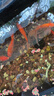 德瑞水族 魚飼料錦鯉飼料育成色揚增體魚食金魚飼料血鸚鵡魚魚糧中粒1.5kg 曬單實拍圖