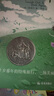 【自選】長(cháng)青藤?lài)H大獎兒童文學(xué)小說(shuō)書(shū)系第一二三四五六七八九十-十五輯 常青藤系列中小學(xué)生課外閱讀書(shū)籍 第一輯(全6冊) 十歲那年彩虹鴿等 新華正版 曬單實(shí)拍圖