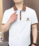 皮爾卡丹（pierre cardin）polo衫男短袖純棉拼色2025新款夏季翻領(lǐng)t恤男刺繡襯衫領(lǐng)夏裝上衣 白色 M 曬單實拍圖