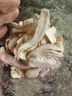 福夢(mèng)熊湖南傳統(tǒng)特產(chǎn)生紅姜片姜絲姜坨可生吃鹽姜500克 紅姜坨 500克 曬單實(shí)拍圖