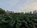 巨博（JOBO）商用PP食品留樣盒10個(gè)裝幼兒園學(xué)校酒店保鮮取樣盒收納盒儲(chǔ)物盒 曬單實(shí)拍圖