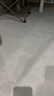 大江地毯客廳高級感茶幾沙發(fā)地毯免洗防水抗污地毯臥室 雅趣240x340cm 曬單實拍圖