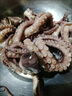 大長(cháng)腿八爪魚(yú)鮮活速網(wǎng)紅爆頭凍商用活的冷凍特大海鮮水產(chǎn) 長(cháng)腿八爪魚(yú)小號20只左右【2斤裝】 曬單實(shí)拍圖
