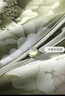 大唐夫人【大牡丹】媽媽裝夏裝T恤女中老年人雪紡襯衫奶奶印花短袖老太太 曬單實(shí)拍圖