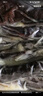 萬(wàn)隆 1864 杭州特產(chǎn) 萬(wàn)隆醬鴨600g 中華老字號(hào)正宗醬鴨整只開(kāi)袋即食 萬(wàn)隆醬鴨600克*1（嘗鮮價(jià)） 曬單實(shí)拍圖