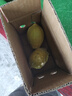 正宗廣東香水黃檸檬酸爽多汁黃檸檬當季薄皮多汁新鮮奶茶專(zhuān)用水果 檸檬凈重250g單果50g+ 曬單實(shí)拍圖