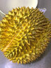 榴樂(lè )樂(lè )泰國進(jìn)口金枕頭榴蓮鮮果 新鮮生鮮水果整顆帶殼 6-7斤（1-2個(gè)） 曬單實(shí)拍圖