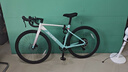 喜德盛（xds）xds ad350喜德盛ad350 25款公路車喜德盛公路車公路自行車喜德盛 2025款|流光青 700Cx510mm|身高175-185cm 曬單實(shí)拍圖
