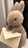 JELLYCAT信兔趣味信封小兔子信使兔子玩偶可愛(ài)治愈毛絨玩具柔軟節日禮物 信兔 【需要賀卡聯(lián)系客服】 曬單實(shí)拍圖