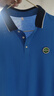 伴1號(hào)（BANYIHAO）男童短袖T恤夏季夏天衣服翻領(lǐng)POLO衫棉寬松兒童上衣男孩中大童 寶藍(lán)色 160 曬單實(shí)拍圖