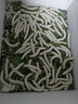 沃繡 蠶寶寶當天發(fā)貨 蠶寶寶活體蠶卵小蠶彩色蠶桑葉新鮮桑葉養蠶套裝 2齡蠶寶寶100條+透氣盒+桑葉 曬單實(shí)拍圖