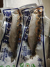 賽湖 新疆賽里木湖有機鮭魚整條魚生魚片高檔刺身 去鱗去內(nèi)臟 兩條裝 高白鮭2條（單條凈重500-600g） 曬單實拍圖