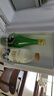 竹葉青酒 露酒 玻竹 45度 475mL*12瓶 整箱 山西杏花村汾酒 曬單實(shí)拍圖