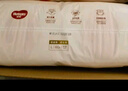 好奇（Huggies）鉑金裝成長(zhǎng)褲L120片(9-14kg)大號(hào)嬰兒尿不濕小桃褲超薄拉拉褲透氣 曬單實(shí)拍圖