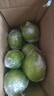 廣東香水檸檬新鮮檸檬茶生鮮鮮檸奶茶店專用檸檬水果產(chǎn)地源頭直發(fā) 【1斤】香水檸檬(單果50g+) 曬單實(shí)拍圖