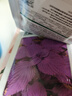 花沃里香菜種子2包約10g 調(diào)味菜四季蔬菜種子大全陽(yáng)臺(tái)盆栽/庭院田間種籽 曬單實(shí)拍圖