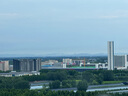 威聯(lián)盟1.68米尚方極狐直柄馬口竿UL調(diào)軟調(diào)微物路亞桿實(shí)心竿梢路亞魚竿 曬單實(shí)拍圖