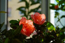 索尼（SONY）Alpha 6400 APS-C 半畫幅畫幅4K視頻Vlog微單相機(jī) A6400 黑色 A6400K套機(jī)【贈(zèng)相機(jī)包+座充等】 官方標(biāo)配 曬單實(shí)拍圖