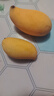 廣西金煌芒新鮮進(jìn)口水果當(dāng)季熱帶大青皮芒果整箱批發(fā)送禮品物盒 凈重2斤裝 【一人食】 精品果【單果200g+】 曬單實(shí)拍圖