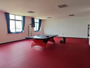 盛仕【乒乓球地膠】PVC運動地膠體育館球館專用防滑乒乓球場地膠墊 【乒乓球館專用】紅布紋4.5mm 曬單實拍圖