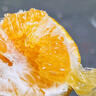 春見(jiàn)爆漿春見(jiàn)耙耙柑 丑橘四川爆汁橘子新鮮水果純甜禮盒裝年貨 6斤單果150-180g春見(jiàn)耙耙柑禮盒 精選禮盒隨機(jī)發(fā) 曬單實(shí)拍圖