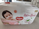 好奇（Huggies）鉑金裝成長褲XXL74片(15kg以上)小桃褲加加大號嬰兒尿不濕超薄 曬單實拍圖