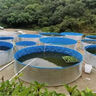 加厚鍍鋅板帆布魚池高密度養(yǎng)殖水池農(nóng)業(yè)篷布蓄水池圓形養(yǎng)魚池 3米直徑1.45米高度/整套 曬單實拍圖