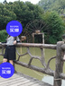 Olrain歐芮兒法式正肩T恤女夏季新款簡(jiǎn)約灰色印花短袖上衣 灰色 XL  曬單實(shí)拍圖