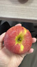 果味集云南昭通冰糖心丑蘋(píng)果當季的新鮮紅富士紅露蘋(píng)果整箱5斤水果包郵 5斤中果【果徑70-75mm】 曬單實(shí)拍圖