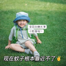 香港大藥房艾草香茅驅(qū)蚊室內(nèi)戶外移動(dòng)防蚊子蟲蒼蠅驅(qū)趕強(qiáng)效克星蚊香驅(qū)蚊神器 【三盒裝】無懼蚊蟲 曬單實(shí)拍圖