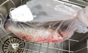 鮮活沖浪河鱸魚400-500g/條 曬單實(shí)拍圖
