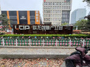 pvc塑鋼草坪護欄花園圍欄市政綠化帶隔離柵欄戶(hù)外欄桿菜園籬笆欄 【特厚款】0.4米高*3米寬 曬單實(shí)拍圖