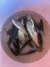 漁之源（Yuzhiyuan）釣魚(yú)支架高碳高硬臺(tái)釣支架釣魚(yú)配件炮臺(tái)支架 2.7m去野二代  曬單實(shí)拍圖