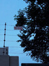 綠巨能（llano）佳能LP-E17相機電池R50 R8 m6mark2 R10 RP 200D二代750D 760D 800D 850D M5 M6 77D充電器lpe17 【常規(guī)】兩電雙充 曬單實拍圖