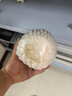 佳農(nóng) 泰國(guó)進(jìn)口椰青9粒裝 單果900g+ 贈(zèng)開(kāi)椰器吸管 生鮮水果 源頭直發(fā) 曬單實(shí)拍圖