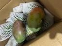 京鮮生 攀枝花凱特芒果 凈重8.5斤 單果405g+ 生鮮水果 源頭直發(fā) 曬單實(shí)拍圖