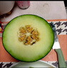 京鮮生蜜蜂授粉牛三蜜瓜網(wǎng)紋瓜 單果2斤起 凈重8-9斤 2-4粒裝源頭直發(fā) 曬單實拍圖