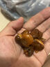 盛慶邦胖東來香酥蠶豆蘭花豆牛肉味蘭花豆休閑零食下酒菜炒貨散裝小零食 500g*2罐酥香蘭花豆下酒小菜 曬單實拍圖