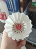 正品華美F4F5F6F8F9A4A5A6A8A9羽毛球AHJ-202耐打飛行穩定羽毛球 華美F5【76速】12只球 1筒 曬單實(shí)拍圖